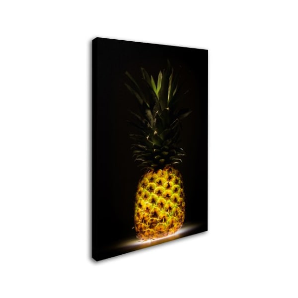 Wieteke De Kogel 'Pineapple' Canvas Art,30x47